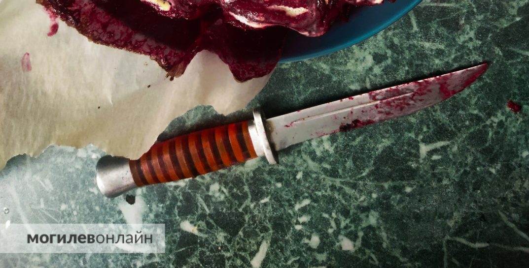 С трупом в багажнике поехали за водкой. В Кричеве за убийство в России вынесли приговор местному жителю, а его подельника осудили в Подмосковье. Подробности от МогилевОнлайн