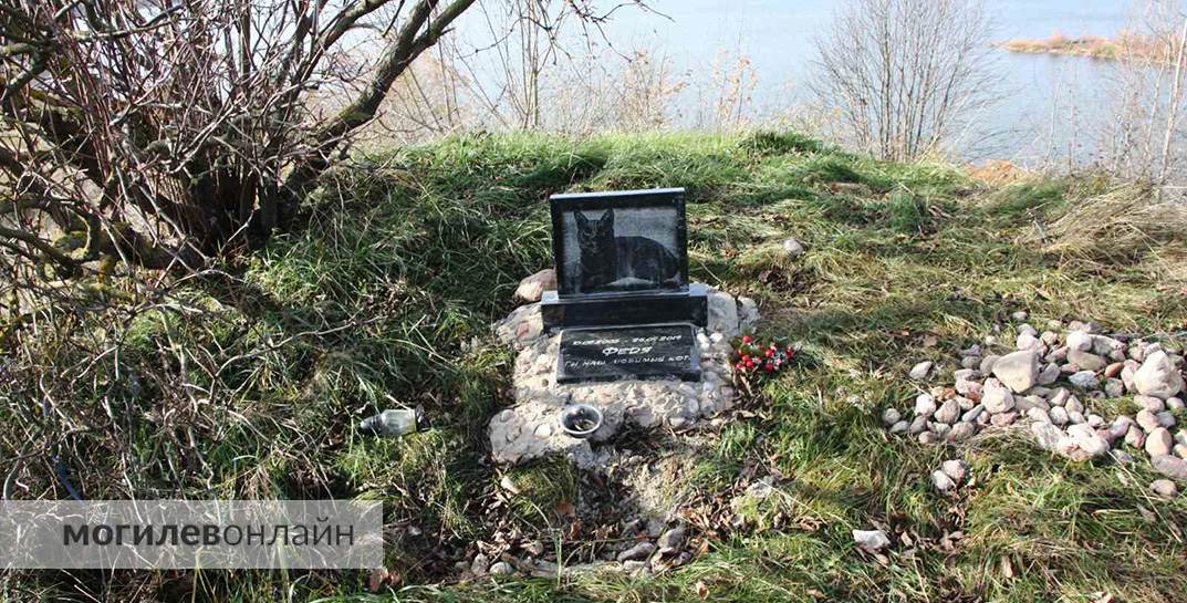 «Когда любовь заканчивается пакетом». Как в Могилеве хоронят домашних питомцев, чем это опасно и сколько стоит попрощаться с любимцем цивилизованно и без вреда для природы