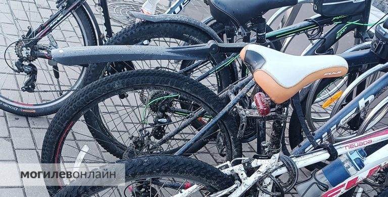 «Почему бы просто не штрафовать за превышение скорости на переходах?» Могилевские велосипедисты рассказали, усложнилась ли их жизнь с нововведениями в ПДД и что они об этом думают