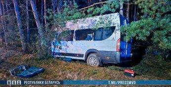 Под Вилейкой микроавтобус с рабочими врезался в дерево — восемь человек в больнице