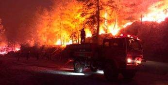 Масштабные лесные пожары охватили Турцию: эвакуируют туристов и местных жителей