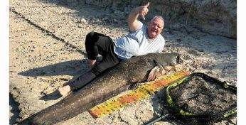 В Припяти рыбак выловил 80-килограммового сома