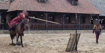 В Лиде во время выступления лошадь напоролась на копье и не выжила. Есть видео и комментарии владельца клуба