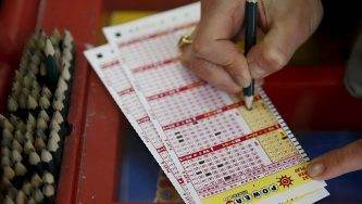 Американка попросила ChatGPT подсказать счастливые номера для игры в лотерею и выиграла