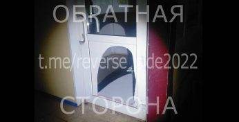 Житель Брестчины приехал отдохнуть в Шкловский район и «вынес» сельский магазин