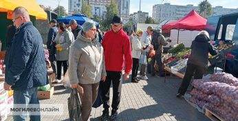 Яблоки от 2,50 рубля, картошка от 1,20. Узнали цены овощей и фруктов на сельхозярмарке около «Гринвича» в Могилёве