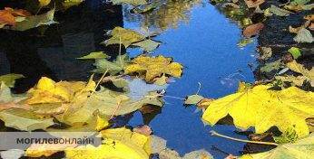 Синоптик Дмитрий Рябов дал прогноз погоды в Могилеве на неделю с 6 по 12 октября