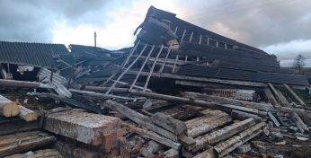 В Круглянском районе шквалистый ветер разрушил здание телятника — внутри было 75 животных