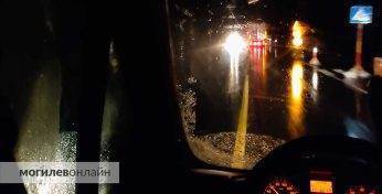 В Кличеве пьяный водитель выехал на обочину и сбил пешехода. Как его наказали?