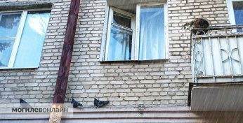 Ночные заморозки и мокрый снег. Стало известно, какой будет погода на Могилевщине в начале следующей недели