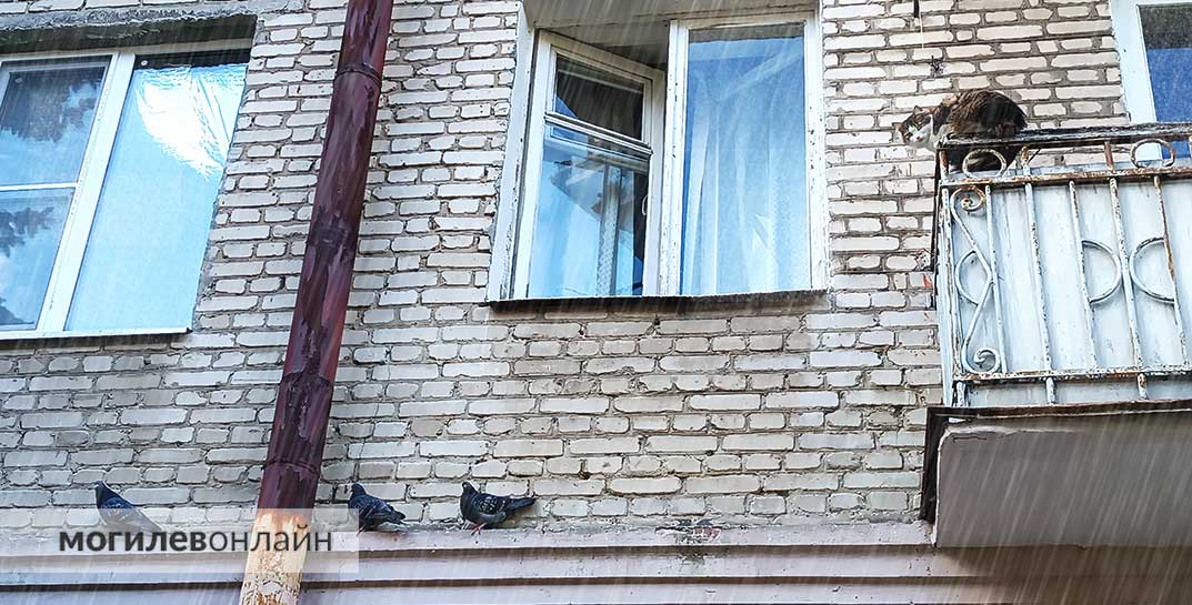 Ночные заморозки и мокрый снег. Стало известно, какой будет погода на Могилевщине в начале следующей недели