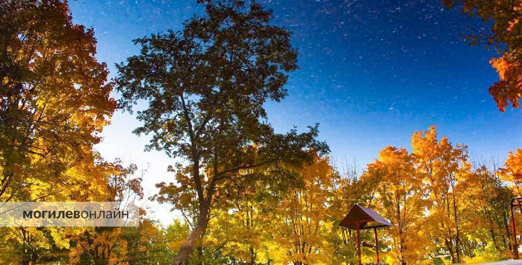 Погода в Могилеве на неделю с 13 по 19 октября: похолодание о дождь