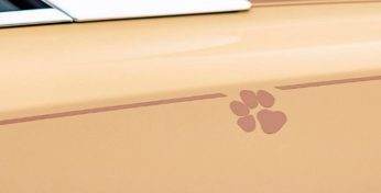 Rolls-Royce создал уникальный электрокар в честь собаки клиента — вы точно умилитесь такому дизайну авто