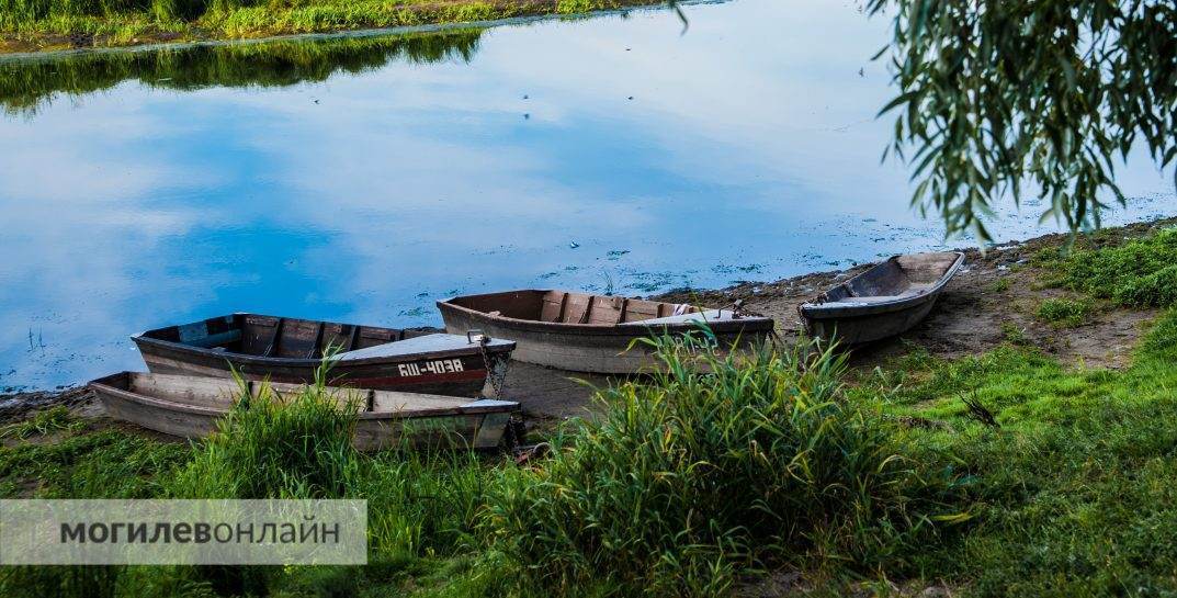 Депутаты разрешили отдавать в аренду водоемы Беларуси не только для рыбалки