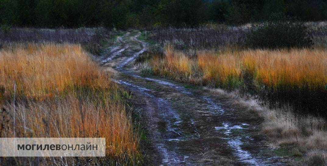 Какой будет погода в Могилевской области в начале следующей недели?