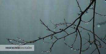 Ждать похолодания? Стало известно, какой будет погода в Могилевской области в начале следующей недели