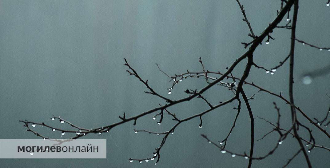 Ждать похолодания? Стало известно, какой будет погода в Могилевской области в начале следующей недели