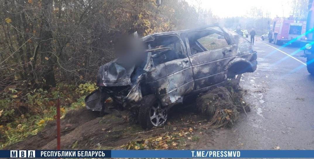Жуткое ДТП в Кричевском районе: легковушка врезалась в деревья и загорелась — погибли два человека