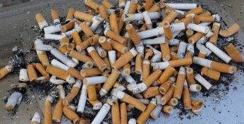 В Словакии начали строить дороги из переработанных сигаретных окурков