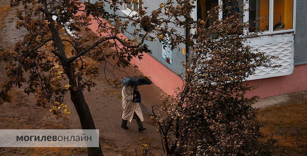 Дождливо и с порывистым ветром пройдут выходные в Могилевской области