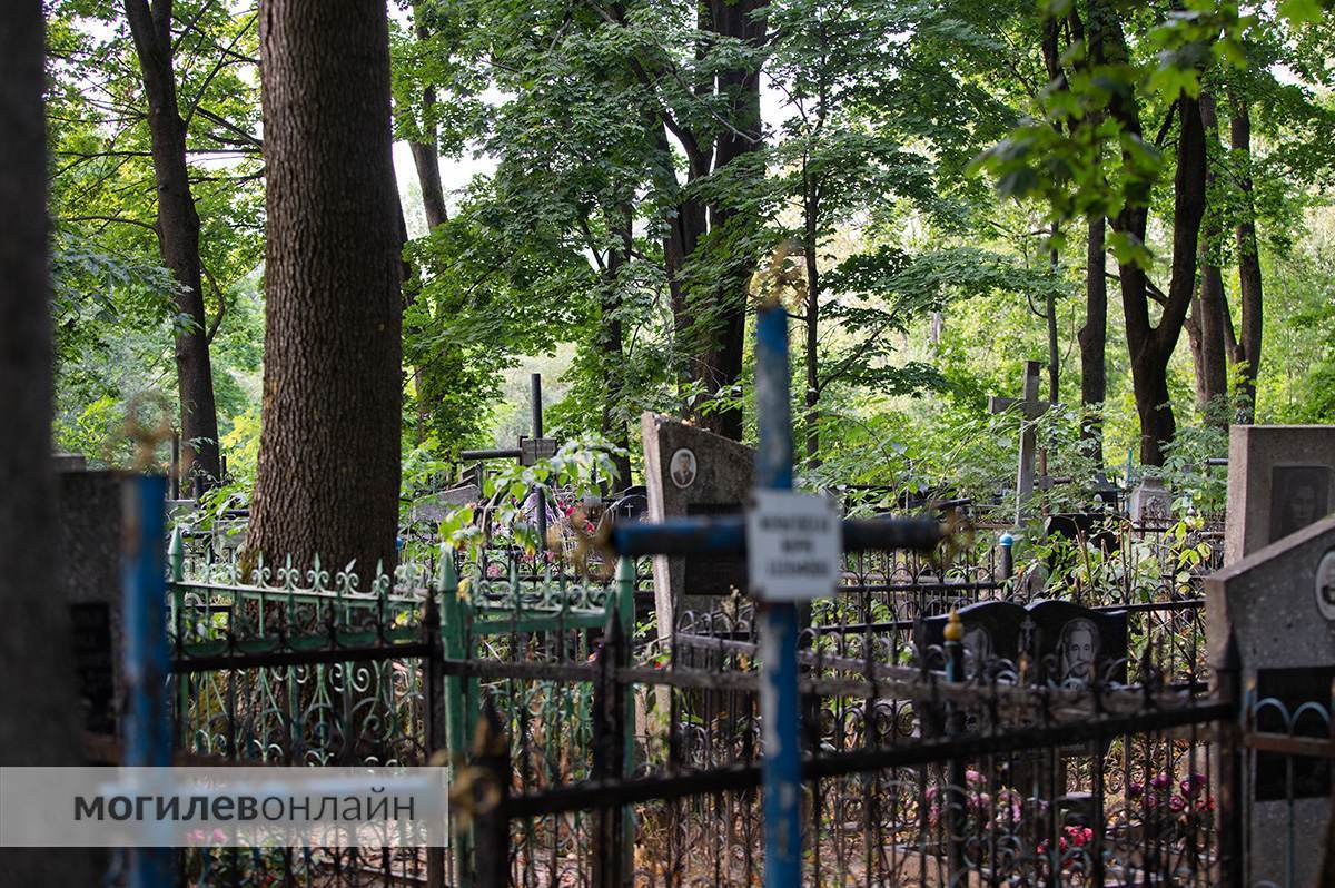 Ускользающая история и «романтика» кладбищенских легенд. Рассказываем про уникальный «Польскi цмэнтарш» в Могилеве