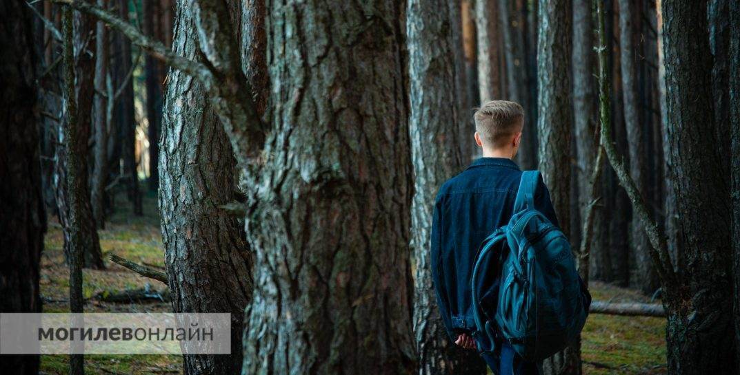 Во всех лесах Беларуси сняты ограничения на посещение — можно смело отправляться на отдых