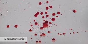 Под Минском дачник напал на свою соседку с топором и отрубил ей 4 пальца