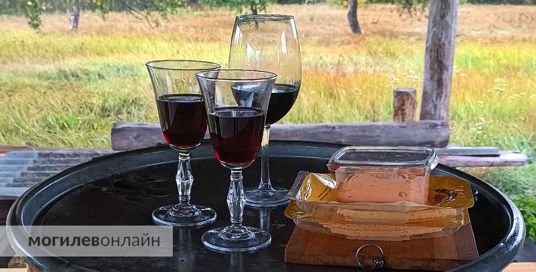 Просто о правилах: почему наливку дома сделать можно, а самогон уже нельзя