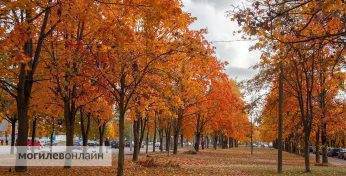 Успели заметить, как красив осенний Могилев? Оставляем здесь уютные моменты золотой поры