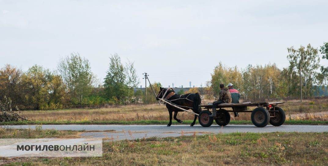 В Беларуси появился новый населенный пункт с волшебным названием — хутор Изумрудный