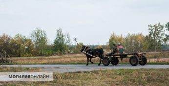В Беларуси появился новый населенный пункт с волшебным названием — хутор Изумрудный
