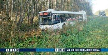 В Могилевском районе пригородный автобус съехал в кювет: есть пострадавшие