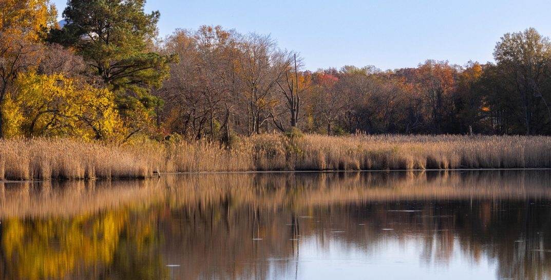 В Беларуси готовят масштабные изменения Водного кодекса. Что ждет дачников и отдыхающих?