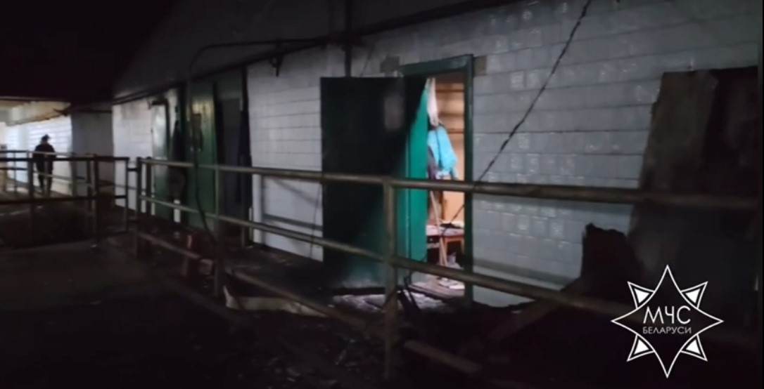 У Горках ратавальнікі спынілі пажар на ферме: уратавана 50 цялят